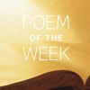 POTW258.jpg POTW258.jpg