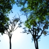 nature1.jpg nature1.jpg