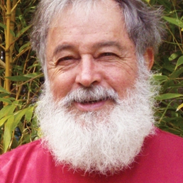 Wei  Ying-wu