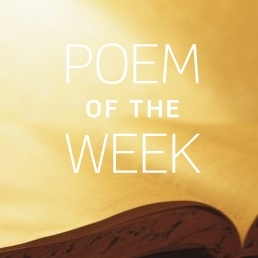 Top Five Poems: 2008–2009