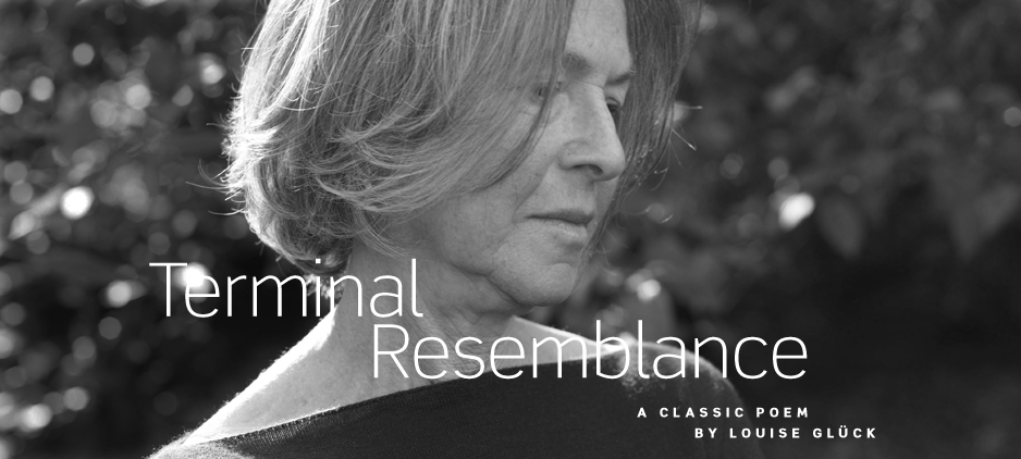 Terminal resemblance analysis image