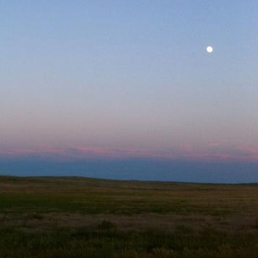 The Poetics of Place By Various Authors