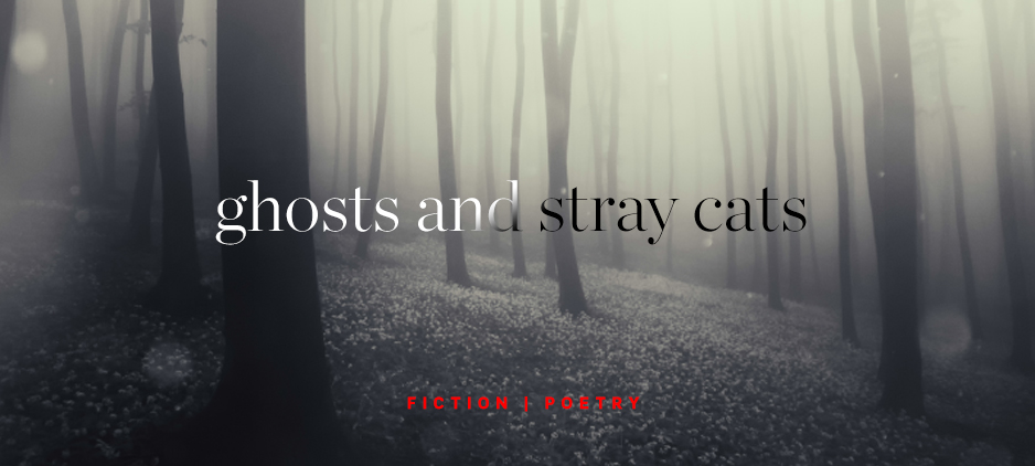 Ghosts and Stray Cats | Narrative Magazine - Vimarsana News