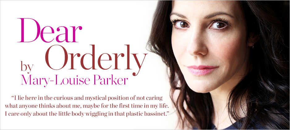 Dear Orderly by Mary-Louise Parker - Vimarsana News