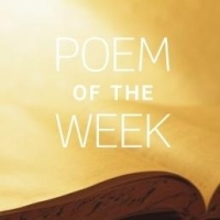 Poems of the Week: 2021–2022
